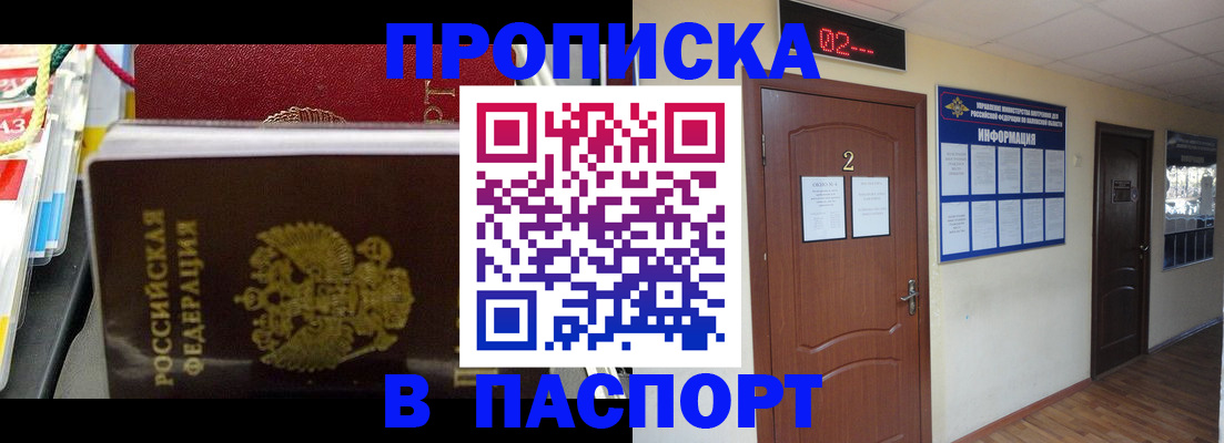 прописка гарантия в Мончегорске